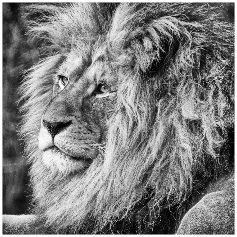 Platz 8 Juergen Feldmann